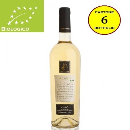 Cirò Bianco DOP "Alaei" BIO - Senatore Vini (6 bottiglie)