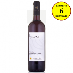 Grignolino del Monferrato Casalese DOC "Sanvas" - Azienda Agricola Bottazza (cartone da 6 bottiglie)