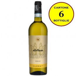 Riesling Piemonte DOC "Savium" - Alemat (cartone da 6 bottiglie)