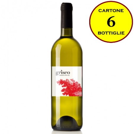 Campania Fiano IGT "Griseo" - Cantina Dryas (6 bottiglie)