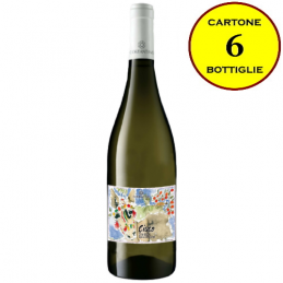 Zibibbo Terre Siciliane IGT "Ciuco" - Costantino Wines (cartone da 6 bottiglie)