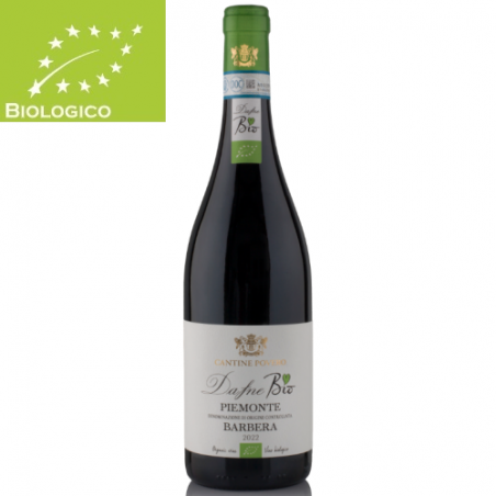 Barbera Piemonte DOC "Dafne" BIO - Cantine Povero