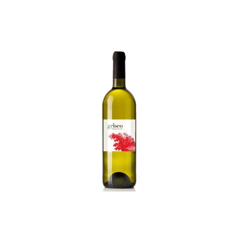 Campania Fiano IGT "Griseo" - Cantina Dryas