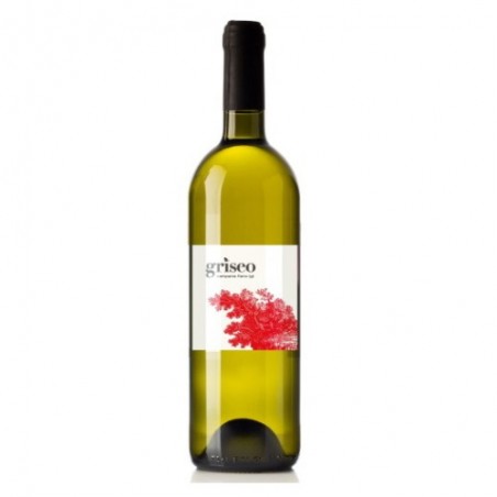 Campania Fiano IGT "Griseo" - Cantina Dryas