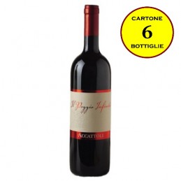Rosso Piceno DOC "Il Poggio Infinito" - Accattoli