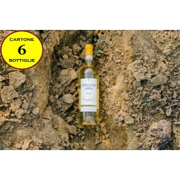 Arneis Terre Alfieri DOC "Rivas" - Torchio Piero Azienda Agricola