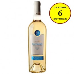 Pecorino Terre di Chieti IGT - Accattoli