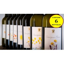 Sauvignon Veneto IGT "Sauvignon Blanc" - Vinicio Bronzo