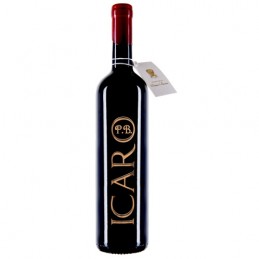 Passito Rosso Veneto IGT "Icaro" - Vinicio Bronzo