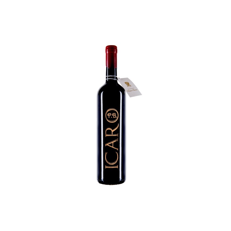 Passito Rosso Veneto IGT "Icaro" - Vinicio Bronzo Passito Rosso Veneto IGT "Icaro" - Vinicio Bronzo