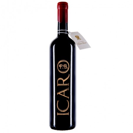 Passito Rosso Veneto IGT "Icaro" - Vinicio Bronzo