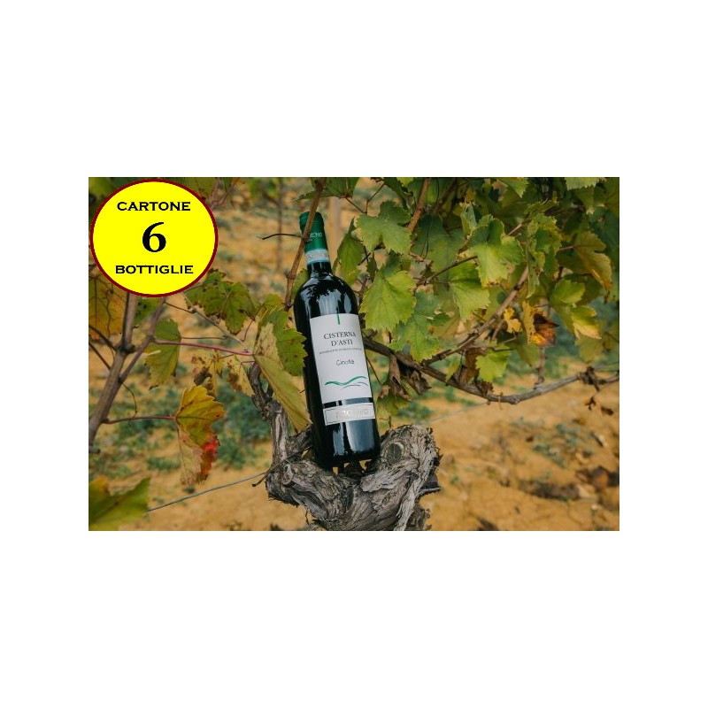 Cisterna d'Asti DOC "Cinota" - Torchio Piero Azienda Agricola