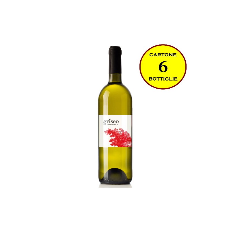 Campania Fiano IGT "Griseo" - Cantina Dryas (6 bottiglie)