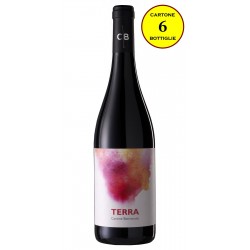 Calabria Rosso IGP 2016 "Terra" - Cantine Benvenuto (cartone 6 bottiglie)