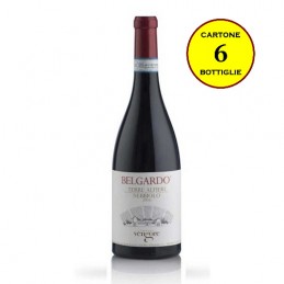 Nebbiolo Terre Alfieri DOC "Belgardo" - Cascina Vèngore (cartone da 6 bottiglie)