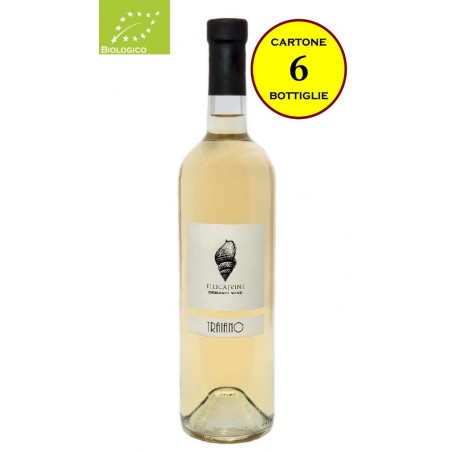 Bianco del Piacentino fermo Biologico "Traiano" - Illica Vini (6 bottiglie)