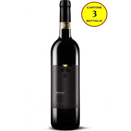 Barolo DOCG - The Vinum (cartone da 3 bottiglie)